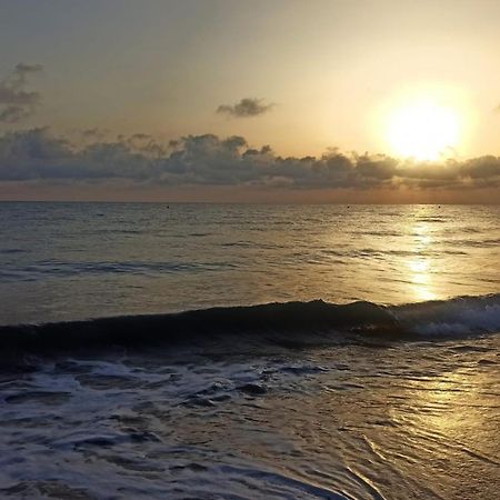 شقة La Playa A 2 Minutos Y 14 Segundos A Pie دينايا المظهر الخارجي الصورة